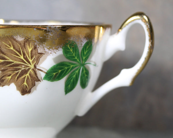 Salisbury Tea Cup & Saucer | English Bone China Tea Cup | Autumn Leaves and Gold Accents | Bixley Shop