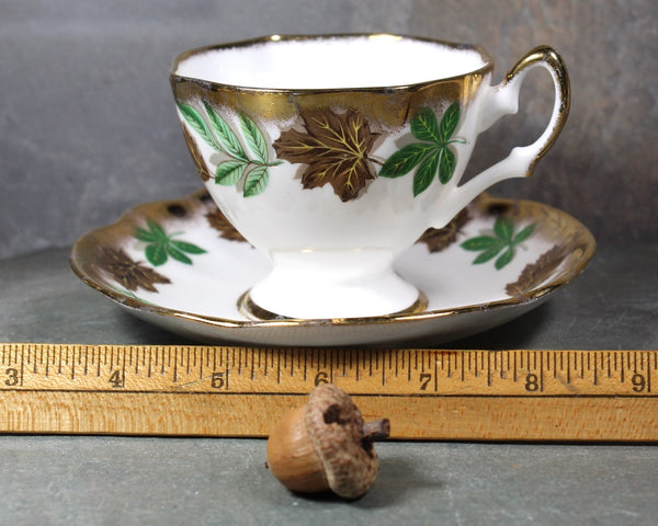 Salisbury Tea Cup & Saucer | English Bone China Tea Cup | Autumn Leaves and Gold Accents | Bixley Shop