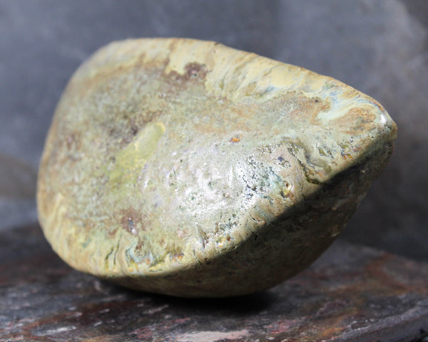 Seed Pod Sculpture | Art Sculpture | Hand Glazed Grey/Green Seed Pod