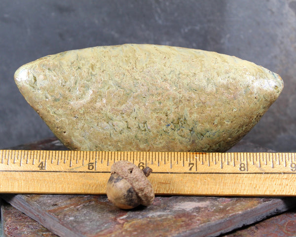 Seed Pod Sculpture | Art Sculpture | Hand Glazed Grey/Green Seed Pod