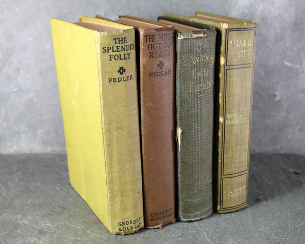 Set of 4 Antique Books for Library Decor | Chronicles of the Schonberg-Cotta Family | Margaret Pedler 2 Volumes | Abner Daniel | Bixley