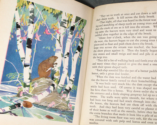 Shoes and Ships and Sealing Wax by Ethel Clere Chamberlin | 1928 Antique Children's Book | Bixley Shop