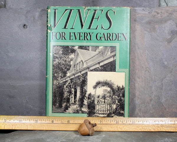 Vines for Every Garden by Dorothy H. Jenkins | 1937 FIRST EDITION | Antique Book on Gardening | Bixley Shop