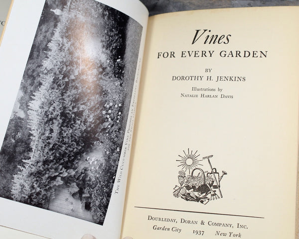 Vines for Every Garden by Dorothy H. Jenkins | 1937 FIRST EDITION | Antique Book on Gardening | Bixley Shop