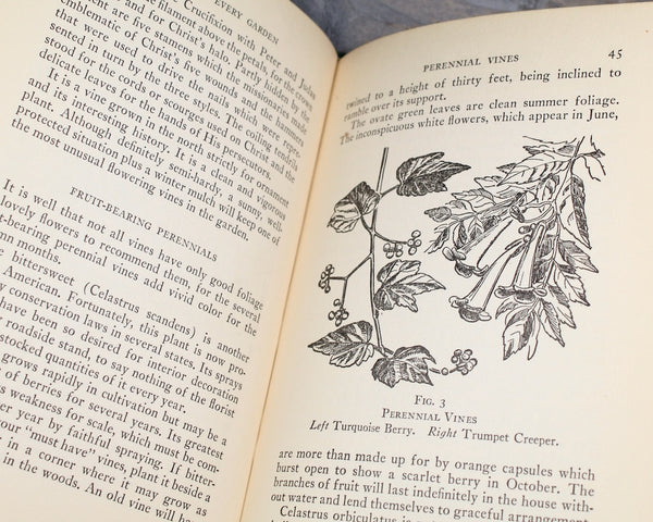 Vines for Every Garden by Dorothy H. Jenkins | 1937 FIRST EDITION | Antique Book on Gardening | Bixley Shop