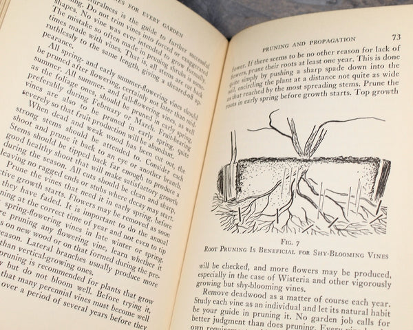 Vines for Every Garden by Dorothy H. Jenkins | 1937 FIRST EDITION | Antique Book on Gardening | Bixley Shop