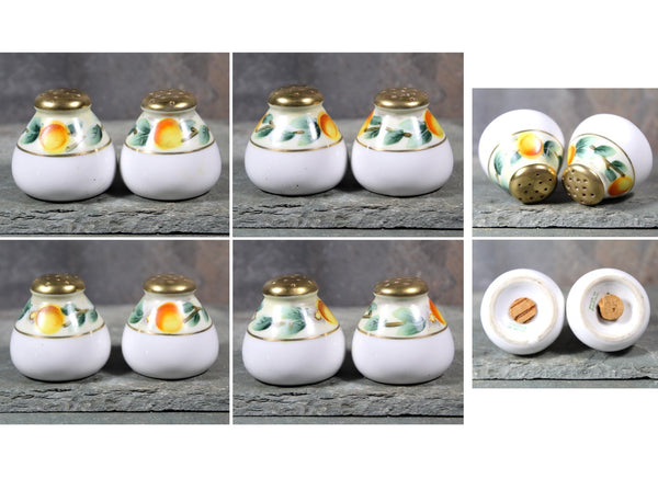 Small Country Kitchen Salt & Pepper Shakers | Ceramic Salt and Pepper Shakers with Cork Stoppers | Peaches and Flowers | Bixley Shop