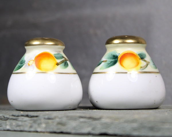 Small Country Kitchen Salt & Pepper Shakers | Ceramic Salt and Pepper Shakers with Cork Stoppers | Peaches and Flowers | Bixley Shop