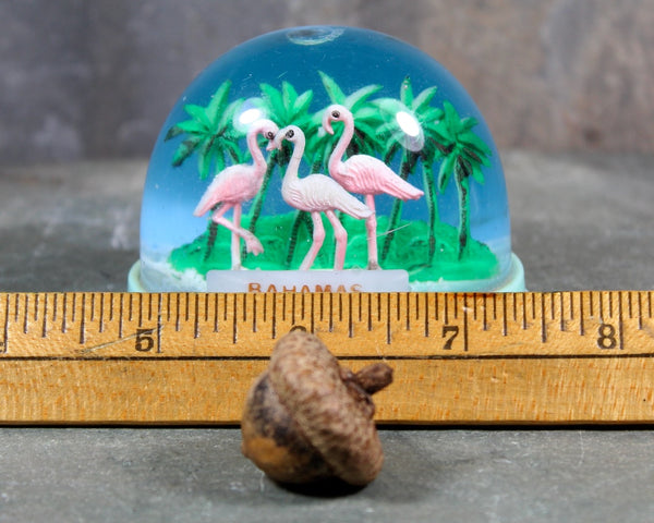 Vintage Bahamas Flamingo Souvenir Snow Globe | 1970s Bahamas Snow Globe | Flamingo Snow Globe | Bixley Shop