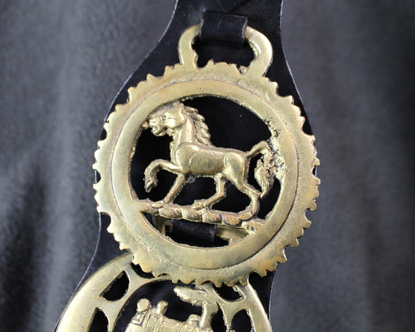 Brass Bridle Harness Medallions | Horse Brasses | Strap with 6 Brass Medallions | British Bridle Medallions | Bixley Shop