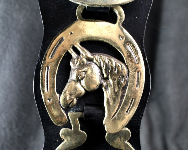 Brass Bridle Harness Medallions | Horse Brasses | Strap with 6 Brass Medallions | British Bridle Medallions | Bixley Shop