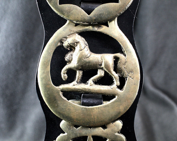 Brass Bridle Harness Medallions | Horse Brasses | Strap with 6 Brass Medallions | British Bridle Medallions | Bixley Shop