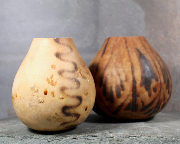 Burnished Gourd Vases - Set of 2 | Natural, Miniature Gourd Vases | Bixley Shop