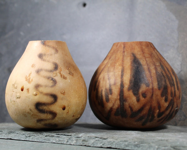 Burnished Gourd Vases - Set of 2 | Natural, Miniature Gourd Vases | Bixley Shop