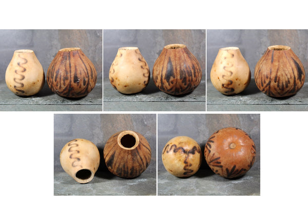 Burnished Gourd Vases - Set of 2 | Natural, Miniature Gourd Vases | Bixley Shop