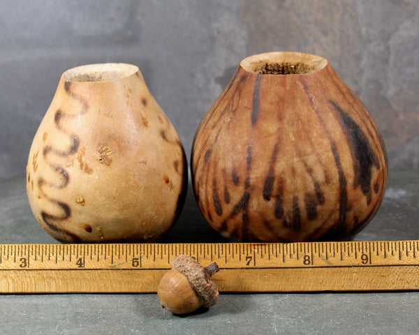 Burnished Gourd Vases - Set of 2 | Natural, Miniature Gourd Vases | Bixley Shop