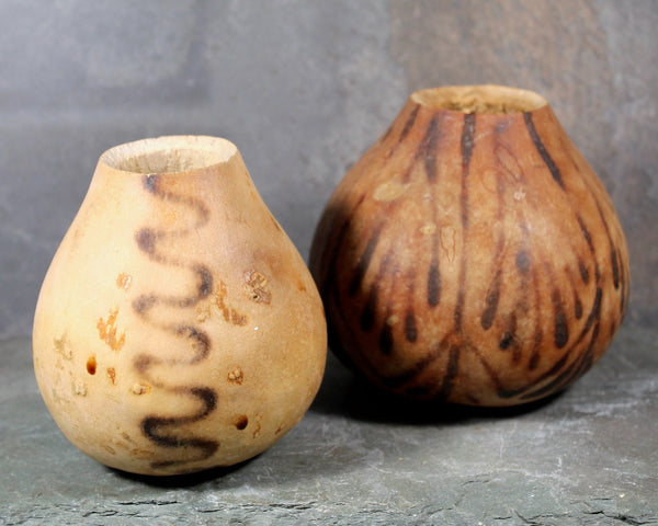 Burnished Gourd Vases - Set of 2 | Natural, Miniature Gourd Vases | Bixley Shop