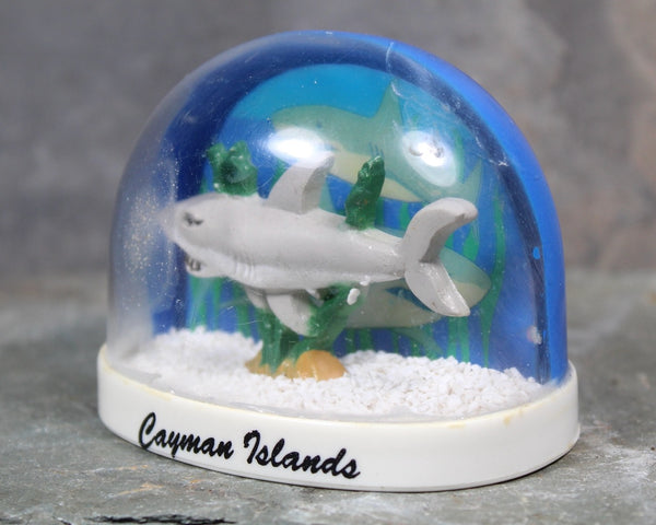 RARE! Vintage Cayman Islands Souvenir Snow Globe | 1970s Cayman Islands Snow Globe | Bixley Shop