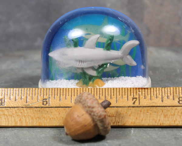 RARE! Vintage Cayman Islands Souvenir Snow Globe | 1970s Cayman Islands Snow Globe | Bixley Shop