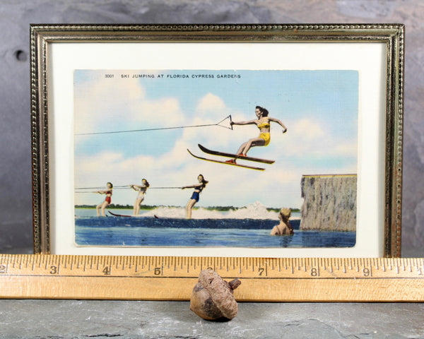 Cypress Gardens Postcard Mounted and Framed | Unused Vintage Postcard Florida Water Skiing | Mounted Under Glass 5"x7" | Bixley Shop