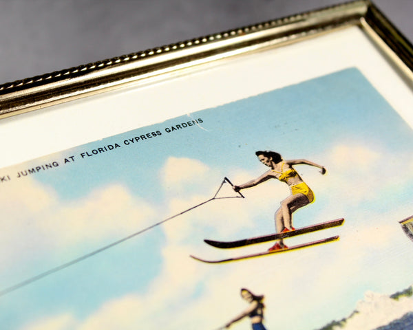Cypress Gardens Postcard Mounted and Framed | Unused Vintage Postcard Florida Water Skiing | Mounted Under Glass 5"x7" | Bixley Shop