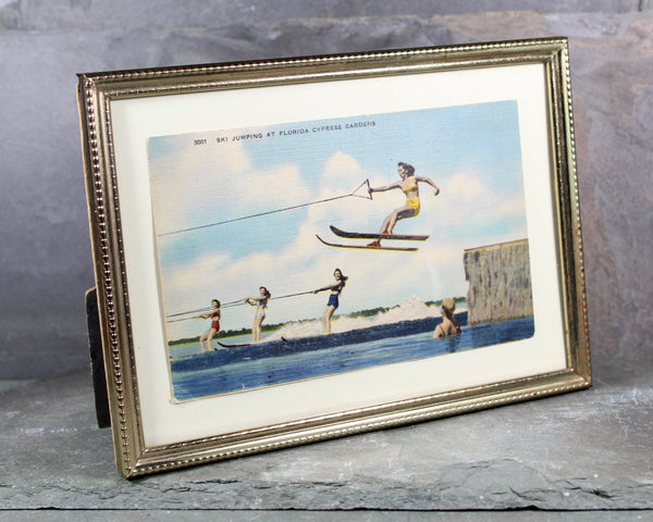 Cypress Gardens Postcard Mounted and Framed | Unused Vintage Postcard Florida Water Skiing | Mounted Under Glass 5"x7" | Bixley Shop