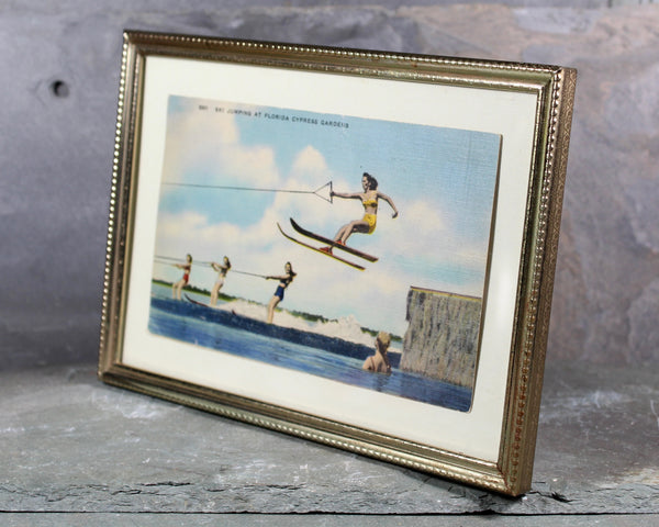 Cypress Gardens Postcard Mounted and Framed | Unused Vintage Postcard Florida Water Skiing | Mounted Under Glass 5"x7" | Bixley Shop