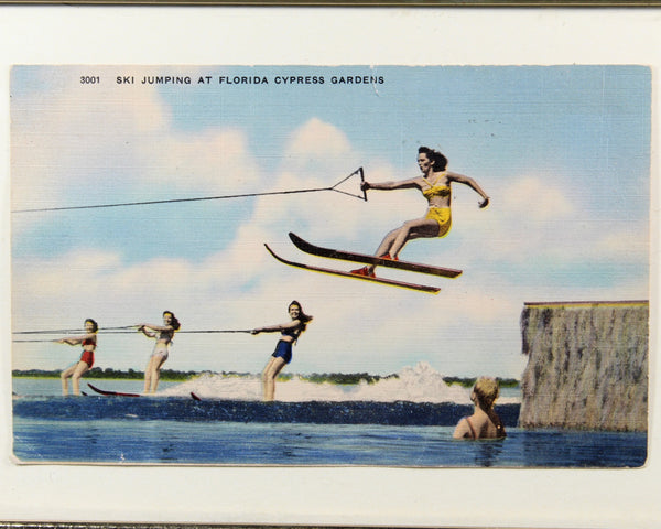 Cypress Gardens Postcard Mounted and Framed | Unused Vintage Postcard Florida Water Skiing | Mounted Under Glass 5"x7" | Bixley Shop