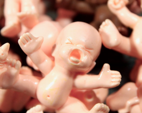 Set of 17 Baby Dolls for Crafting | Circa 1970s | Adorable Babies in Different Poses | Bixley Shop