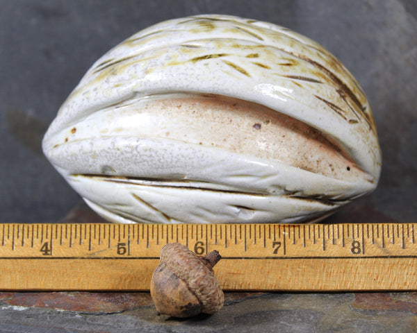 Seed Pod Sculpture | Art Sculpture | Hand Glazed Grayish White Seed Pod | Heavy Sculpture 1.5 Pounds