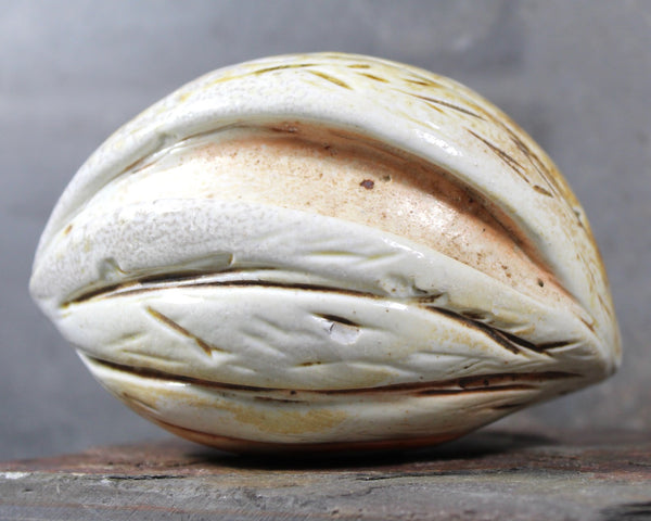 Seed Pod Sculpture | Art Sculpture | Hand Glazed Grayish White Seed Pod | Heavy Sculpture 1.5 Pounds