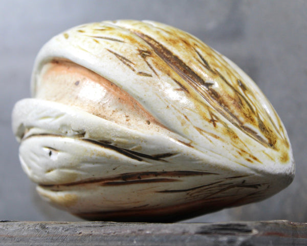 Seed Pod Sculpture | Art Sculpture | Hand Glazed Grayish White Seed Pod | Heavy Sculpture 1.5 Pounds