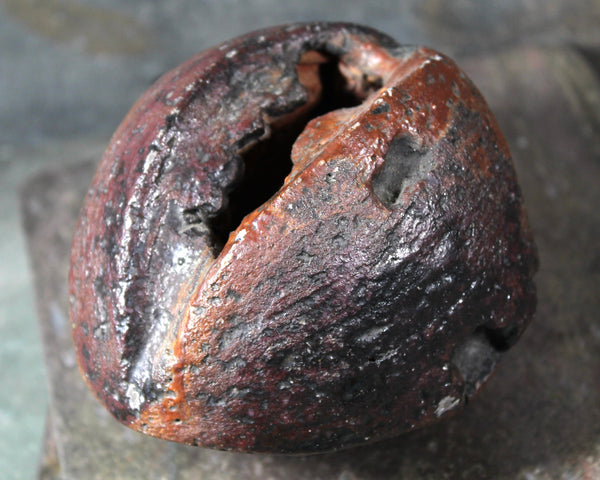 Seed Pod Sculpture | Art Sculpture | Hand Glazed Reddish Brown and Black Seed Pod | Heavy Sculpture 1 Pound