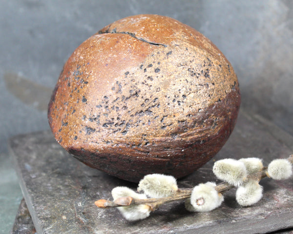 Seed Pod Sculpture | Art Sculpture | Hand Glazed Reddish Brown and Black Seed Pod | Heavy Sculpture 1 Pound