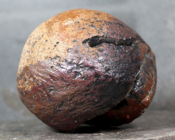 Seed Pod Sculpture | Art Sculpture | Hand Glazed Reddish Brown and Black Seed Pod | Heavy Sculpture 1 Pound