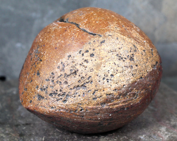 Seed Pod Sculpture | Art Sculpture | Hand Glazed Reddish Brown and Black Seed Pod | Heavy Sculpture 1 Pound