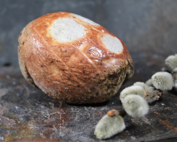 Small Seed Pod Sculpture | Art Sculpture | Bean Shaped Seed Pod | Hand Sculpted