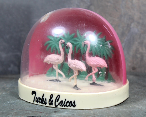 RARE! Vintage Turks & Caicos Souvenir Snow Globe | 1970s Caribbean Snow Globe | Flamingo Snow Globe | Made in France | Bixley Shop