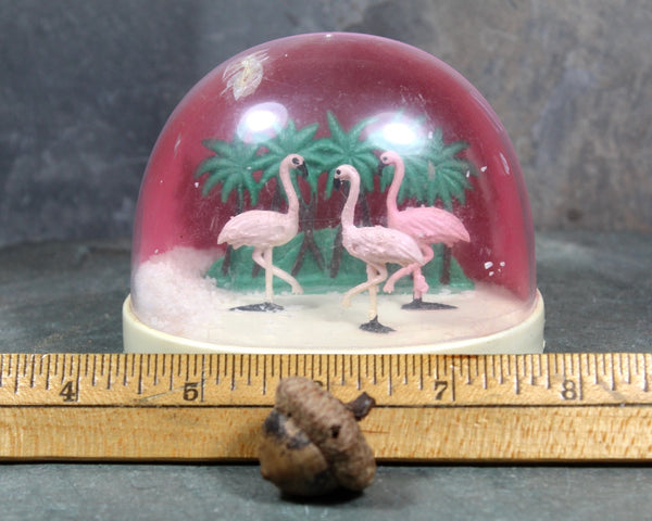 RARE! Vintage Turks & Caicos Souvenir Snow Globe | 1970s Caribbean Snow Globe | Flamingo Snow Globe | Made in France | Bixley Shop