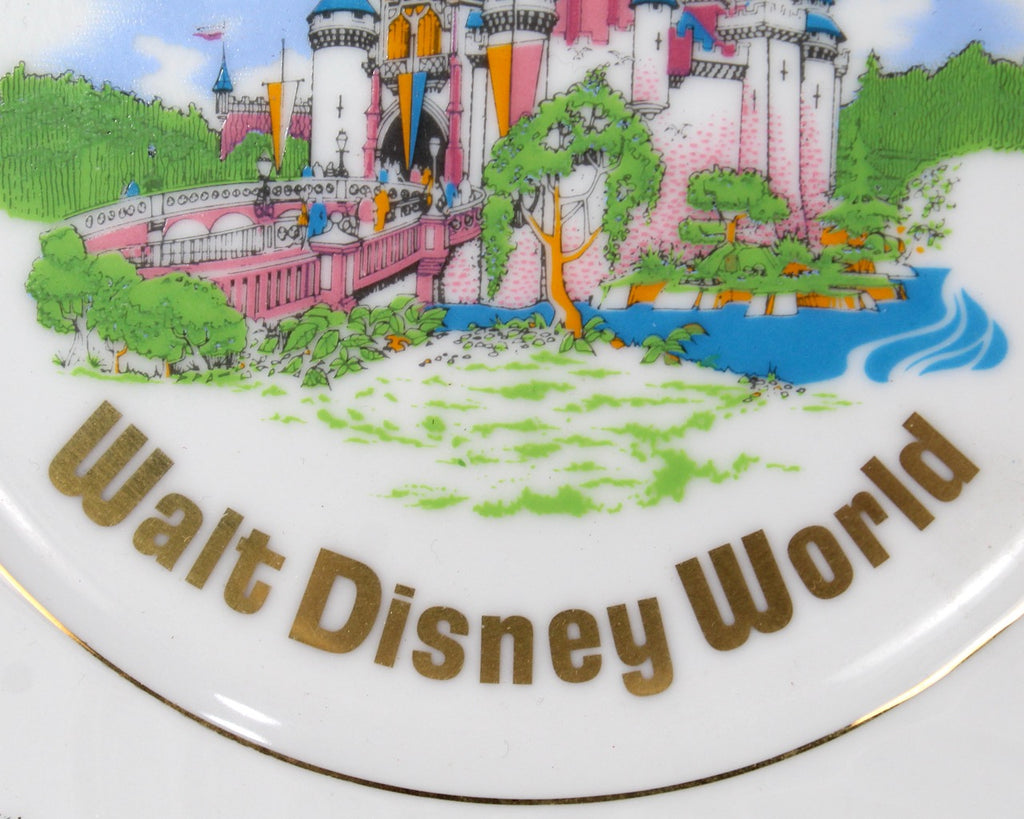 Disney - 【ビンテージ】 アメリカ／フロリダ　ディズニーワールド　プレート SOLD OUT !!! . 1996s Walt Disney World License Plate