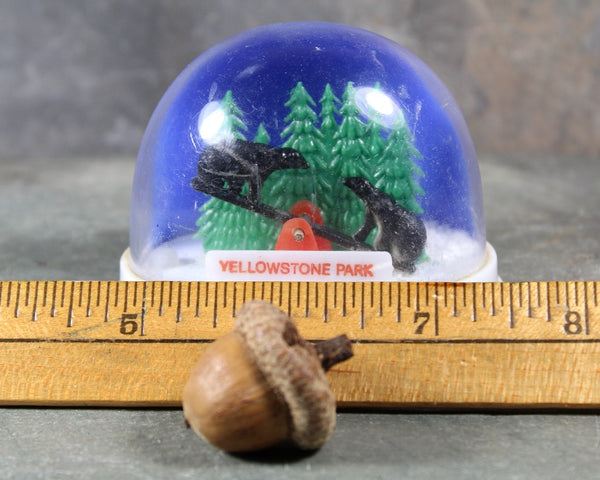 RARE! Vintage Yellowstone National Park Souvenir Snow Globe | 1970s Yellowstone Show Globe | Bears on Seesaw Snow Globe | Bixley Shop