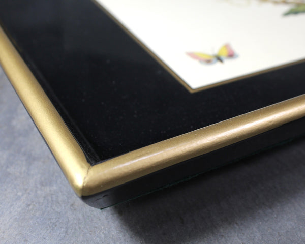 Vintage Lacquered Tray with Bird Design | Ebbels of England Lacquered Tray | Birds and Butterflies | Bixley Shop