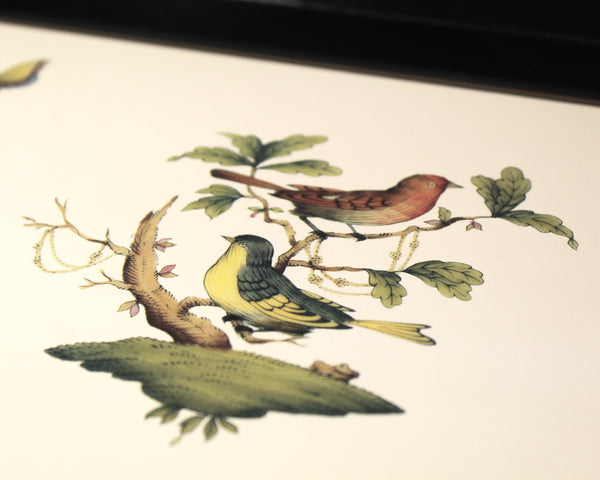 Vintage Lacquered Tray with Bird Design | Ebbels of England Lacquered Tray | Birds and Butterflies | Bixley Shop