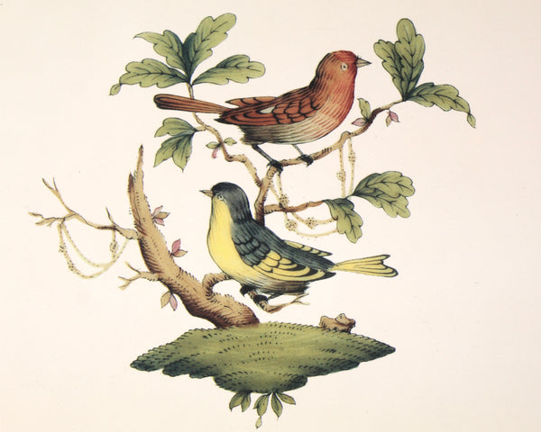 Vintage Lacquered Tray with Bird Design | Ebbels of England Lacquered Tray | Birds and Butterflies | Bixley Shop