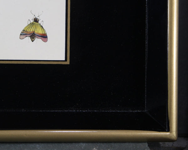 Vintage Lacquered Tray with Bird Design | Ebbels of England Lacquered Tray | Birds and Butterflies | Bixley Shop