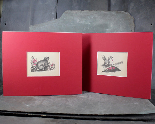 Set of 2 "Frisky Fox" Art for Kid's Room - Set of 2 Matted Vintage Children's Book Pages (Not Reprints) - Fit 8x10" Frames - Sold UNFRAMED