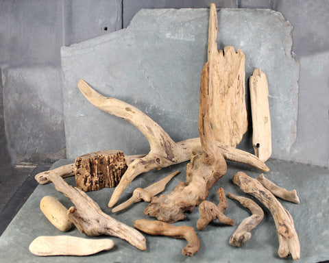 Driftwood Collection - Set of 15 Naturally Aged Driftwood Pieces Ranging from 15" to 3" - For Your Decor or Craft Projects