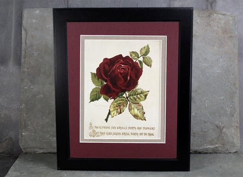 1900s Greeting Card Mounted and Matted | Red Rose | Vintage Art | Fits in Standard 8x10 Frame | UNFRAMED
