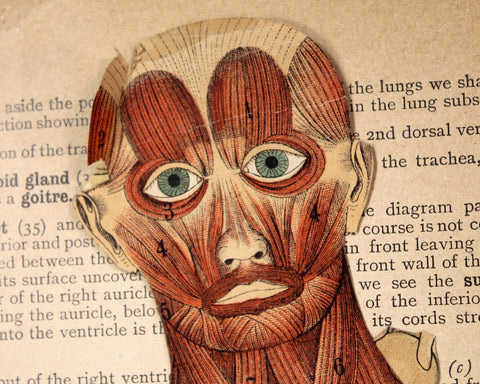 The Human Body by Owen Lancaster, M.R.C.S. | 1892 Antique Anatomy Book | Gorgeous Goth Science Diagrams