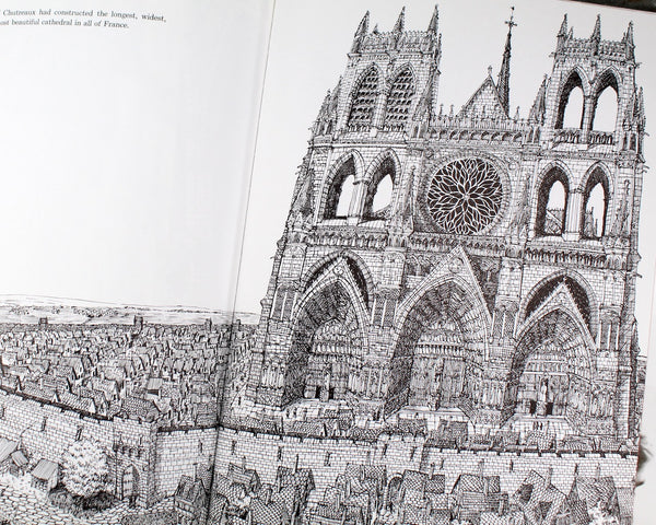 Cathedral by David Macauley - 1974 Caldecott Honor Book - Classic, Vintage Children's Book